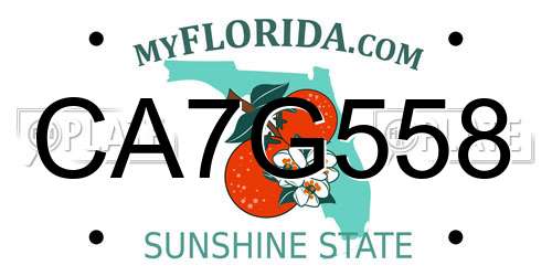CA7G558 Florida License Plate