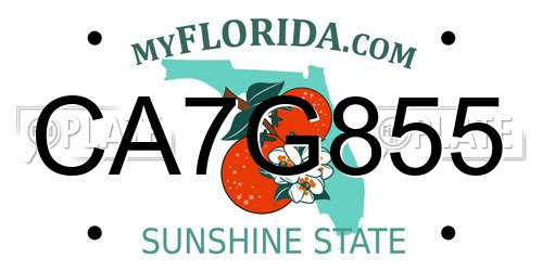 CA7G855 Florida License Plate