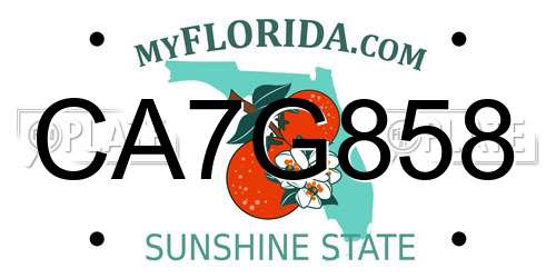 CA7G858 Florida License Plate