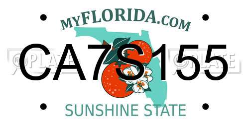 CA7S155 Florida License Plate