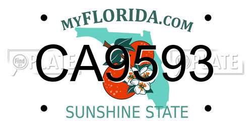 CA9593 Florida License Plate