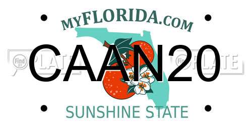 CAAN20 Florida License Plate