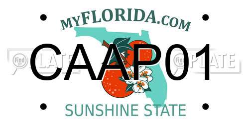 CAAP01 Florida License Plate