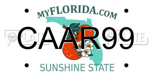 CAAR99 Florida License Plate
