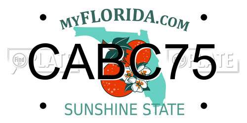 CABC75 Florida License Plate