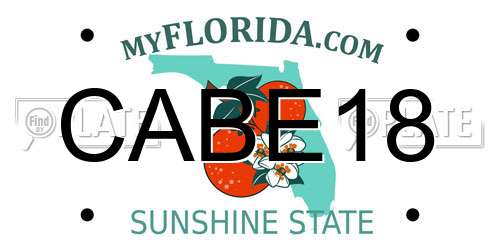 CABE18 Florida License Plate