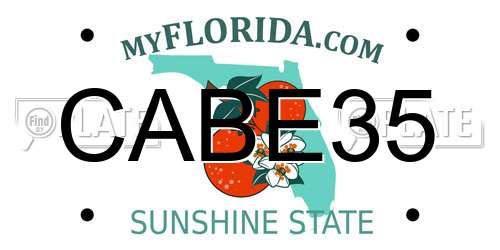 CABE35 Florida License Plate