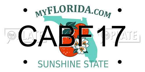 CABF17 Florida License Plate