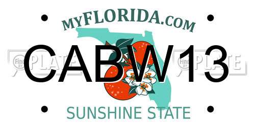 CABW13 Florida License Plate