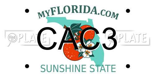 CAC3 Florida License Plate