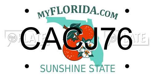 CACJ76 Florida License Plate