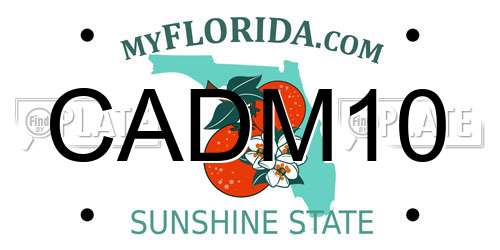 CADM10 Florida License Plate