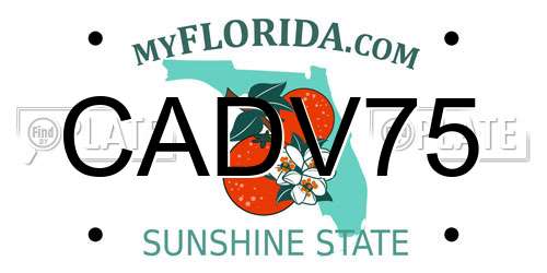 CADV75 Florida License Plate