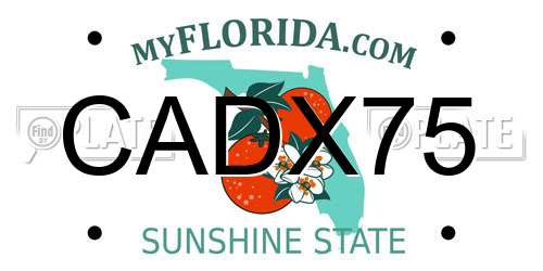 CADX75 Florida License Plate