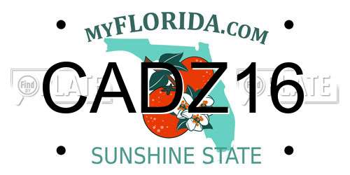 CADZ16 Florida License Plate