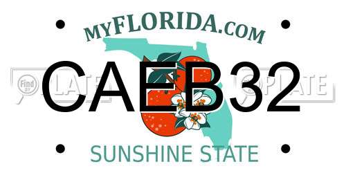 CAEB32 Florida License Plate