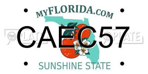 CAEC57 Florida License Plate