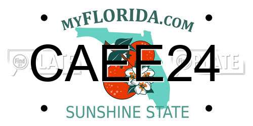 CAEE24 Florida License Plate