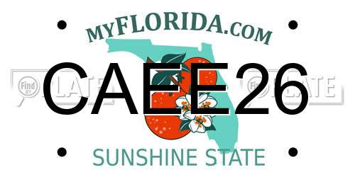 CAEE26 Florida License Plate