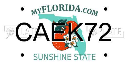 CAEK72 Florida License Plate