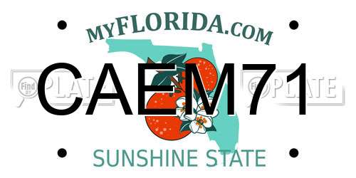 CAEM71 Florida License Plate