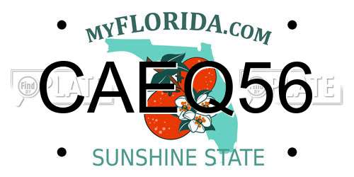CAEQ56 Florida License Plate
