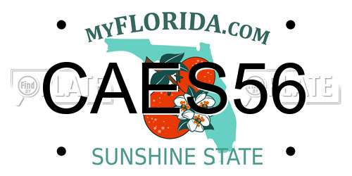 CAES56 Florida License Plate