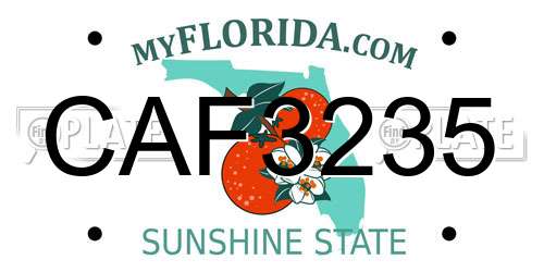 CAF3235 Florida License Plate