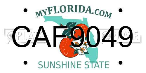 CAF9049 Florida License Plate