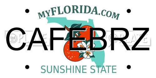 CAFEBRZ Florida License Plate