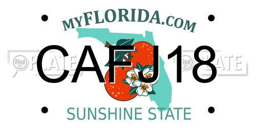 CAFJ18 Florida License Plate