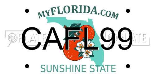 CAFL99 Florida License Plate