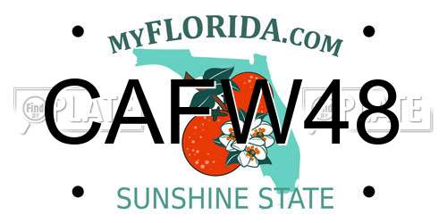 CAFW48 Florida License Plate