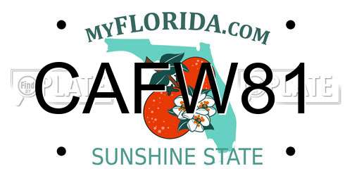 CAFW81 Florida License Plate