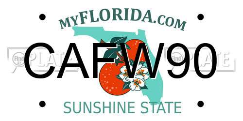 CAFW90 Florida License Plate