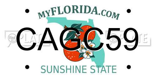 CAGC59 Florida License Plate