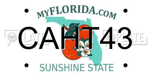 CAHT43 Florida License Plate