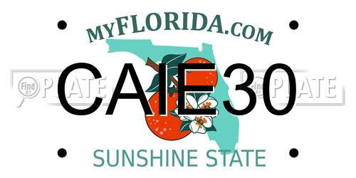 CAIE30 Florida License Plate