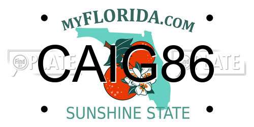 CAIG86 Florida License Plate