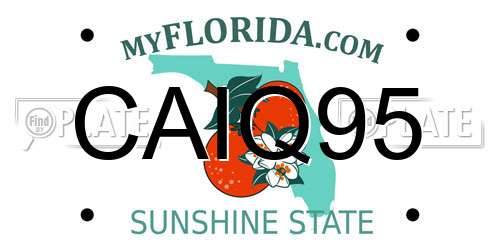 CAIQ95 Florida License Plate