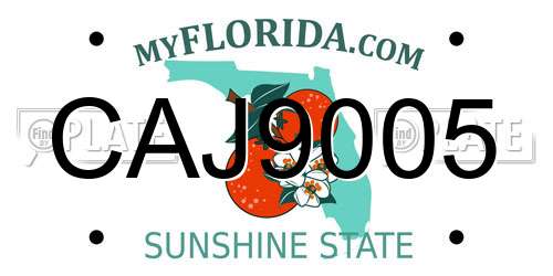 CAJ9005 Florida License Plate