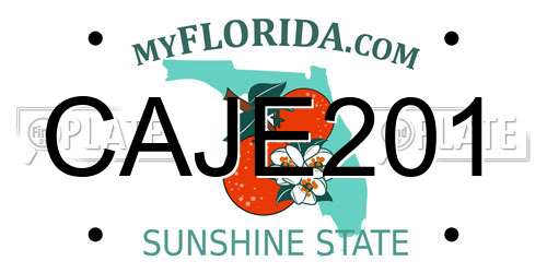 CAJE201 Florida License Plate