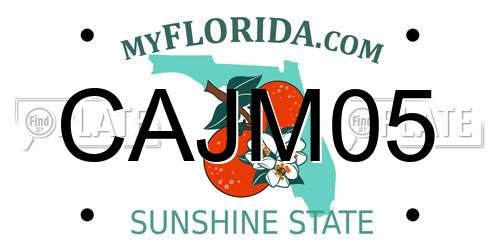 CAJM05 Florida License Plate