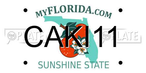 CAKI11 Florida License Plate