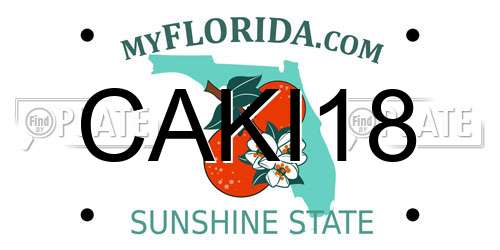 CAKI18 Florida License Plate