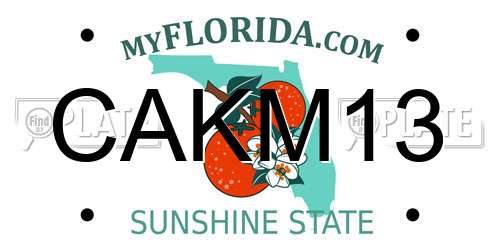 CAKM13 Florida License Plate