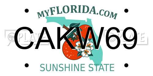 CAKW69 Florida License Plate