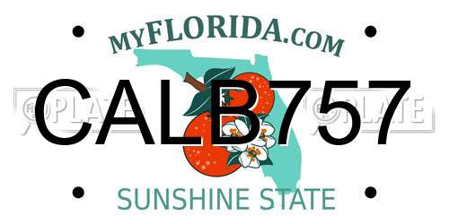 CALB757 Florida License Plate