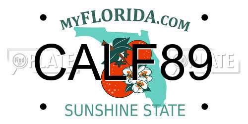 CALF89 Florida License Plate