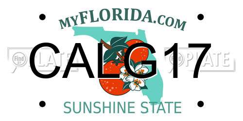 CALG17 Florida License Plate